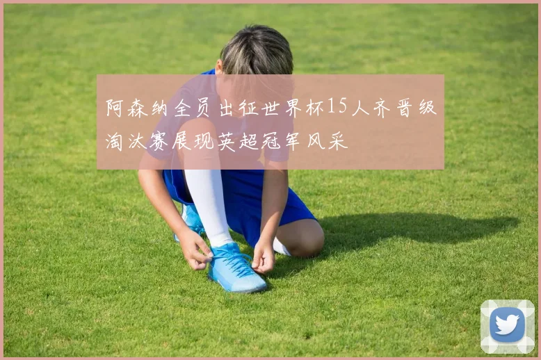 阿森纳全员出征世界杯15人齐晋级淘汰赛展现英超冠军风采
